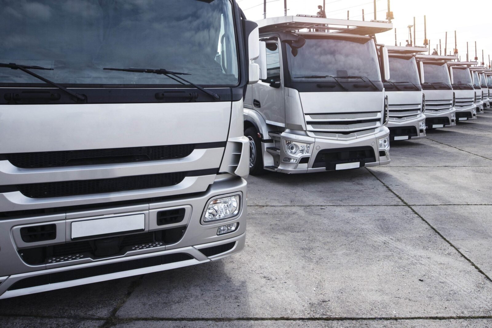 Group trucks parked row min scaled